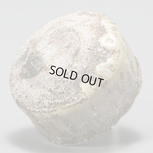 画像8: 斑唐津盃　２