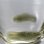 画像9: グリーン４ポイント酒杯　11