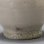 画像11: 白瓷盃　D５