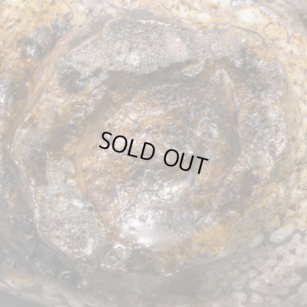 画像19: 梅花皮片口　３