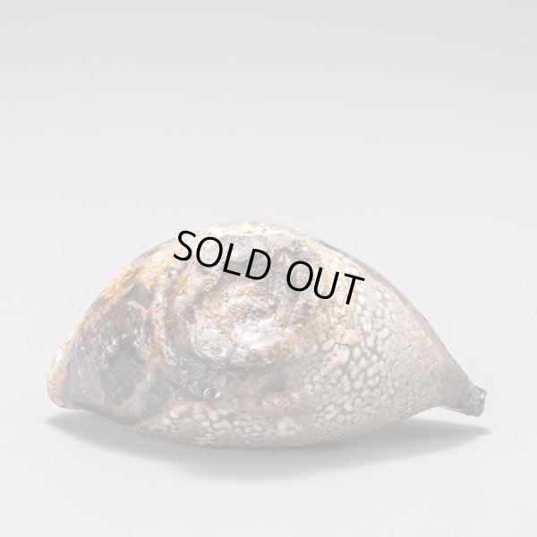 画像8: 梅花皮片口　３