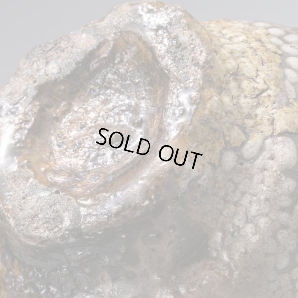 画像18: 梅花皮片口　３