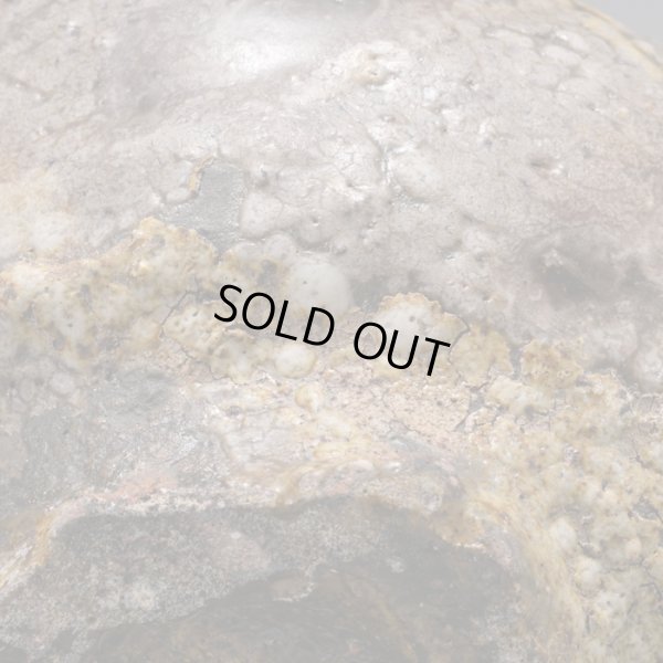 画像17: 梅花皮片口　３