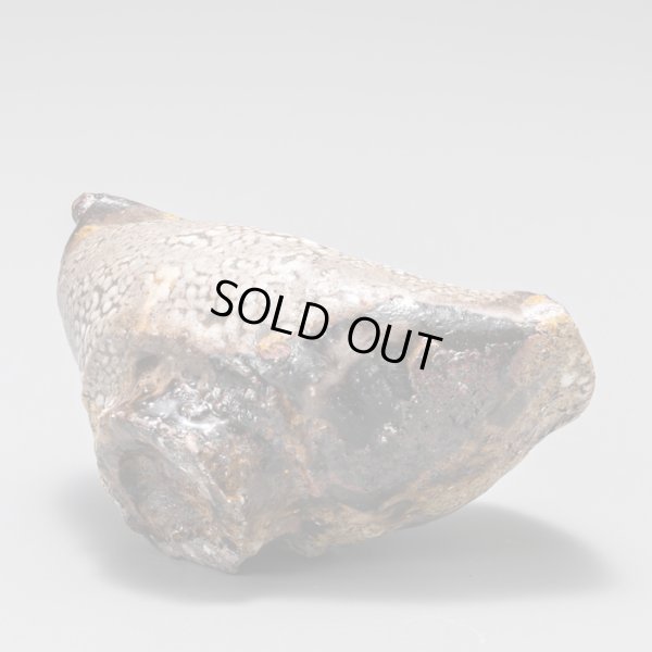 画像9: 梅花皮片口　３