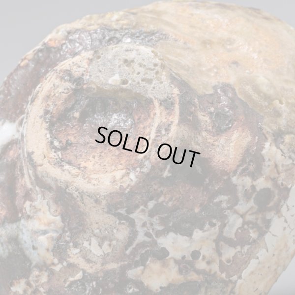 画像16: カセぐい呑　１