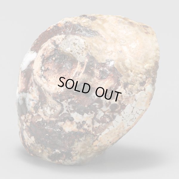 画像8: カセぐい呑　１