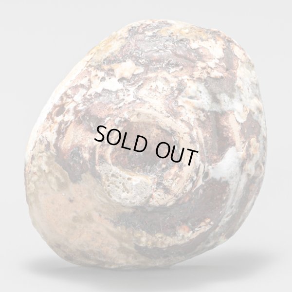 画像7: カセぐい呑　１