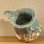 画像5: 道園土緑斑唐津片口　２４