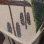 画像11: 絵織部誰袖向付