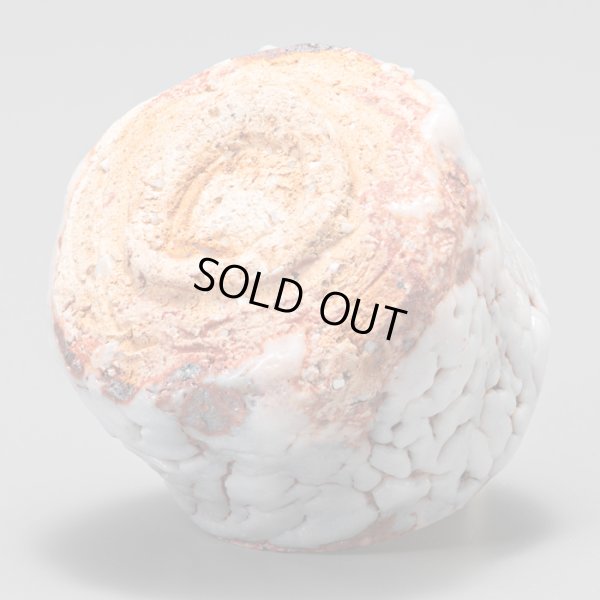 画像8: 鼡志野酒盃　49