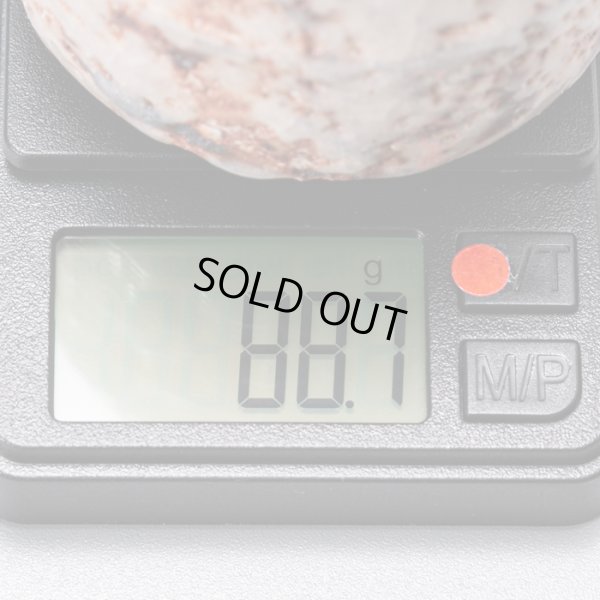 画像19: 志野酒盃　33