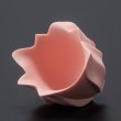 画像6: 彩磁削手杯　「Blooming Pink」14