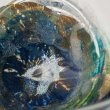 画像11: ミズノワクバショ　片口