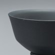 画像7: 透文馬上杯　９　白
