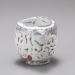 画像3: 白萩注器