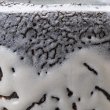 画像12: 白萩注器