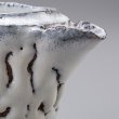 画像10: 白萩注器