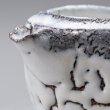 画像11: 白萩注器