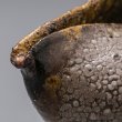 画像10: 梅花皮片口　３
