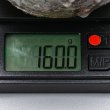 画像19: 道納屋土皮鯨ぐい呑　６