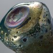 画像18: Extra Meteor　ぐい呑　アンバー