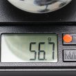 画像19: 染付ぐい呑