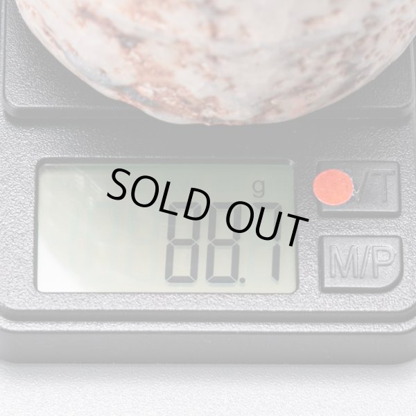 画像19: 志野酒盃　33